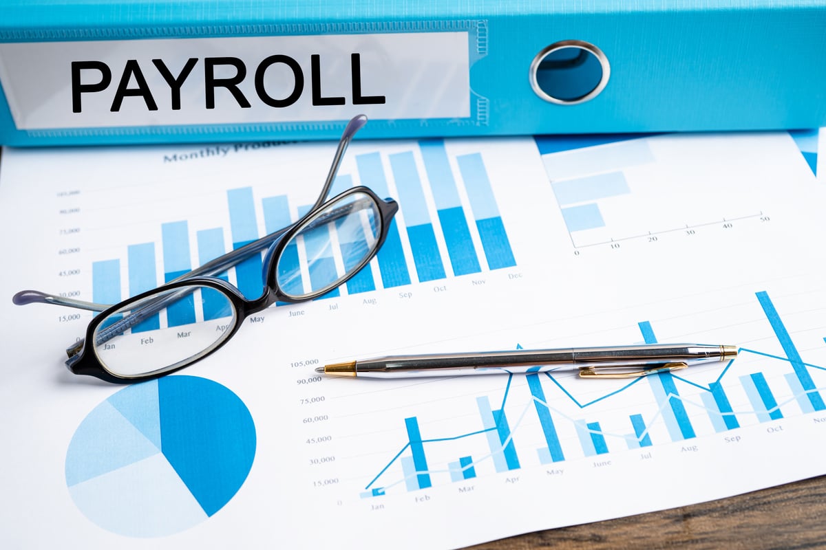 Payroll. Binder data finance report business with graph analysis